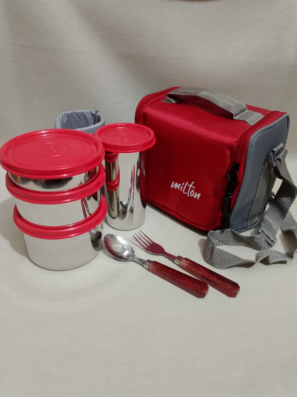 Tasty 4 Insulated Stainless Steel Combo Lunch Box,